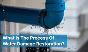Process Of Water Damage Restoration
